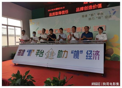 上海奉賢黃桃香飄香港，技術賦能開啟高品質農產品出口新篇章